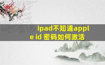 ipad不知道apple id 密码如何激活